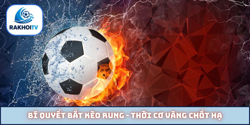 Bí quyết bắt kèo rung