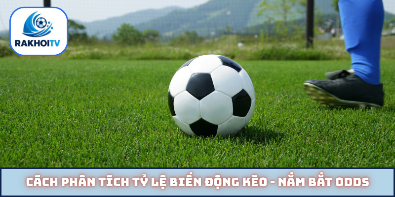 Cách phân tích tỷ lệ biến động kèo