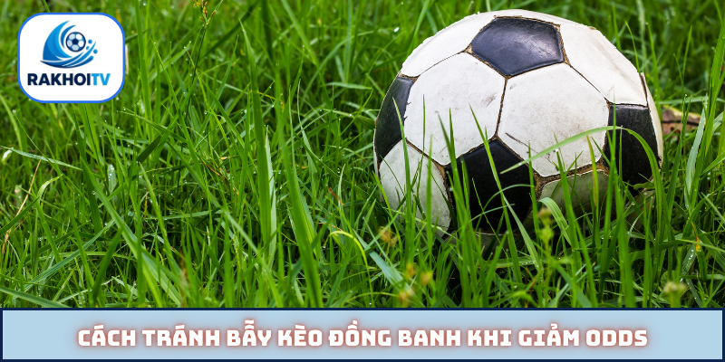 Cách tránh bẫy kèo đồng banh khi giảm odds