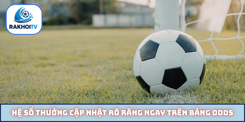 Hệ số thưởng cập nhật rõ ràng ngay trên bảng odds