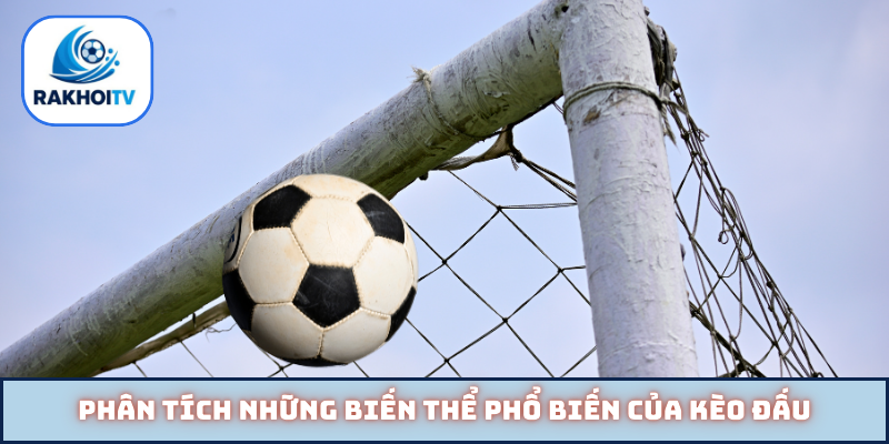 Phân tích những biến thể phổ biến của kèo đấu
