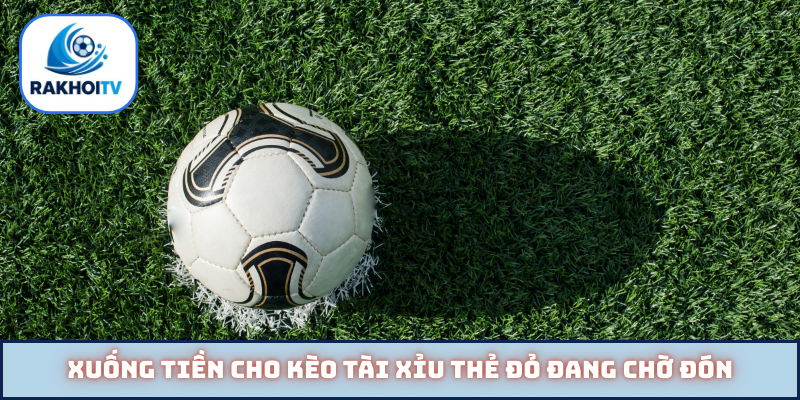 Xuống tiền cho kèo tài xỉu thẻ đỏ đang chờ đón